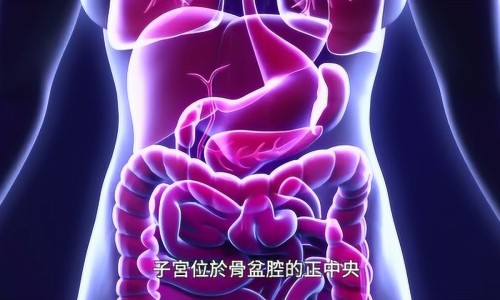 跑步燃烧脂肪是什么感觉专区_跑步时脂肪怎样排出的专区_跑步脂肪如何燃烧脂肪网